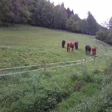 Canal Grande B&B Stronie Śląskie