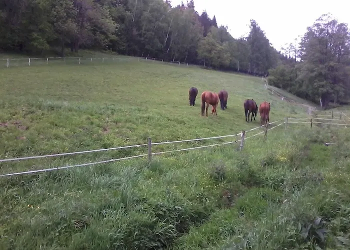 Canal Grande Nocleg ze śniadaniem Stronie Śląskie